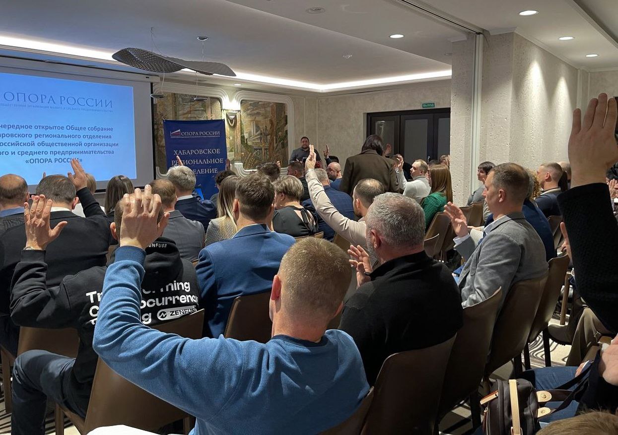 ОПОРА РОССИИ: В поддержку курса Президента России Владимира Путина ОПОРА РОССИИ: В поддержку курса Президента России Владимира Путина