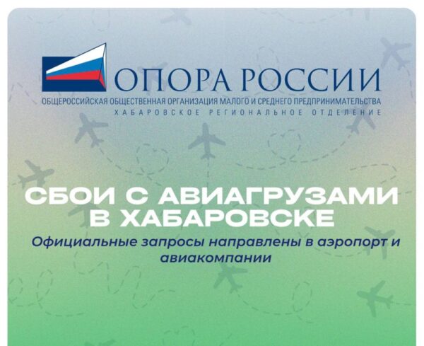 Сбои с авиагрузами в Хабаровске: официальные запросы направлены в аэропорт и авиакомпании