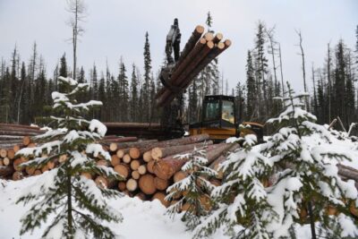 Лесная отрасль Хабаровского края нуждается в мерах поддержки