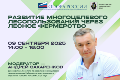 Развитие многоцелевого лесопользования: новые возможности для сельских территорий
