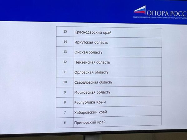 Хабаровская «ОПОРА» заняла 7 место в Рейтинге региональных отделений «ОПОРЫ РОССИИ»