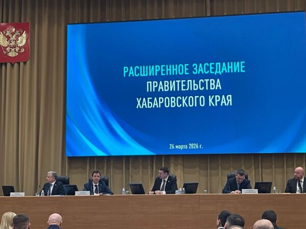 Системный вопрос для инвестклимата: почему недропользовательские проекты сталкиваются с барьерами при оформлении лесных участков